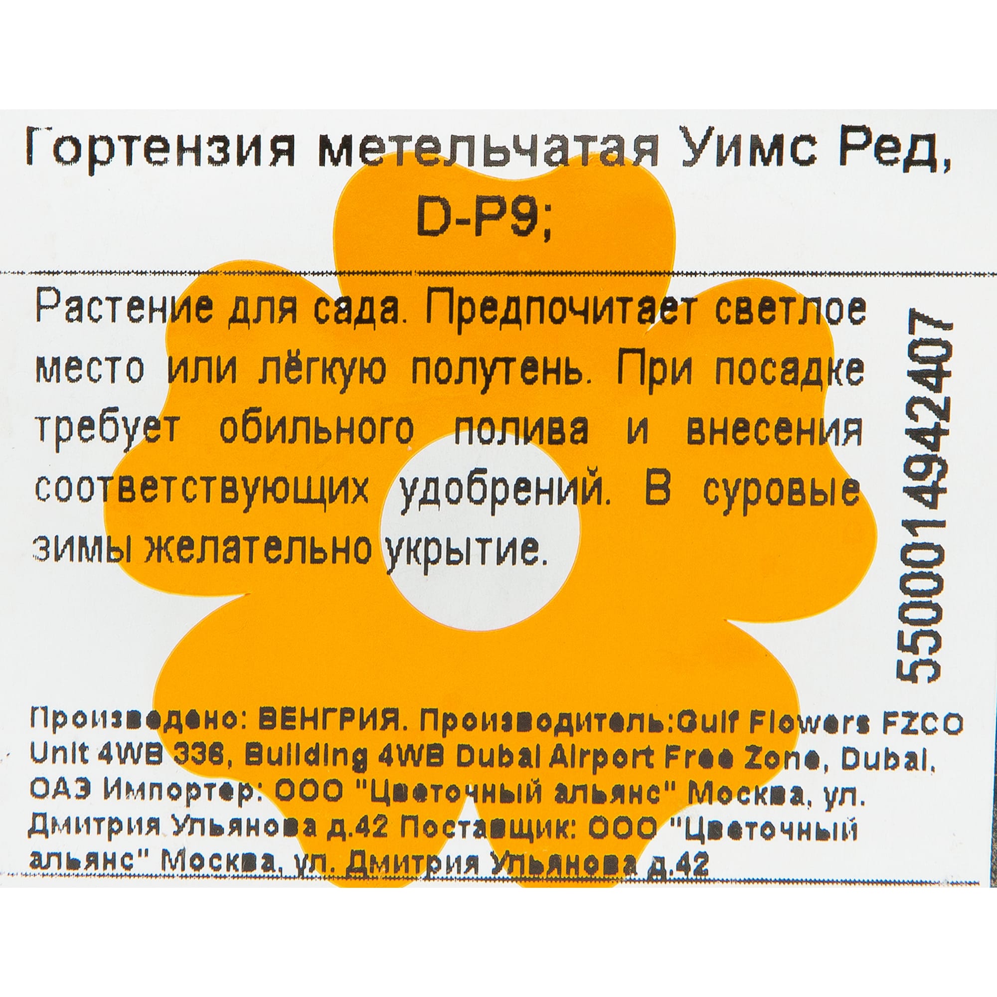 82601826 Гортензия метельчатая «Уимс Ред» 9x20 см Santreyd  - Вид №1