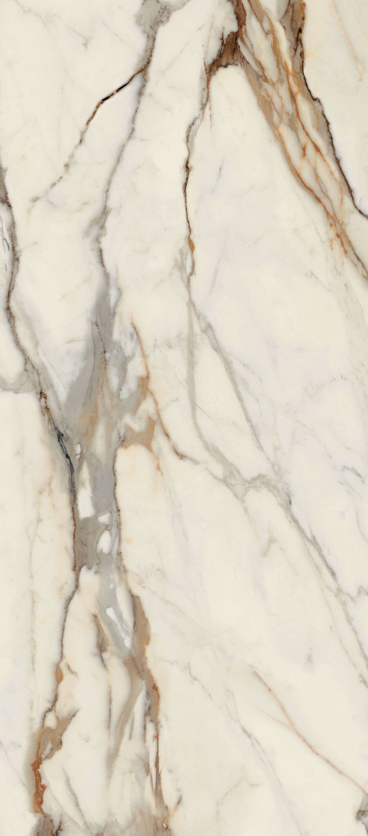 Пол / керамогранит с мраморным эффектом CERAMICA FONDOVALLE Infinito 2.0 ARCH-00067524 - Вид №2