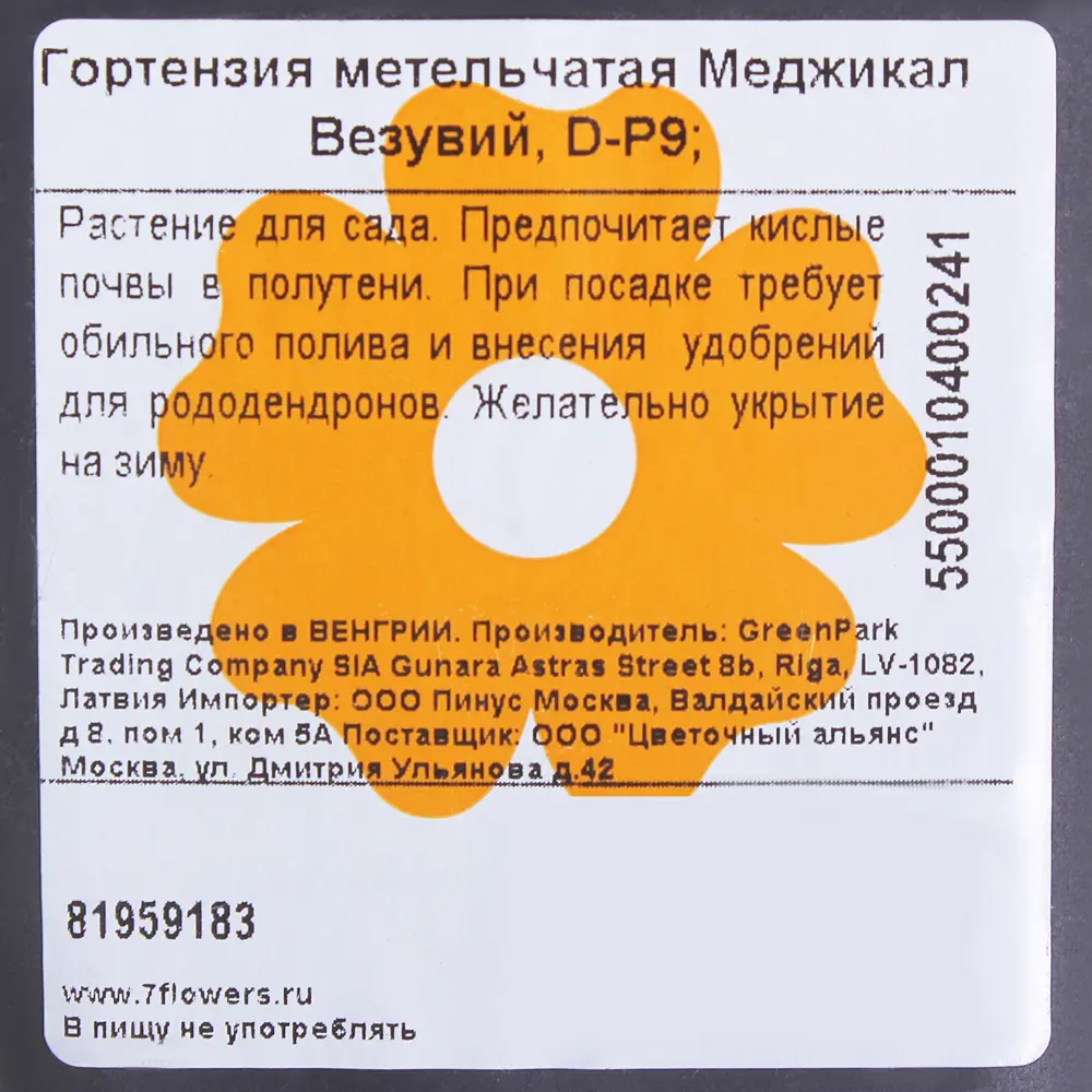 Гортензия метельчатая «Меджикал Везувий» Р9 81959183 STLM-2061029 Santreyd  - Вид №1