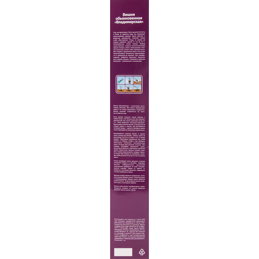 Вишня Владимирская в тубе 82539556 STLM-2108789 BOTANIC COLLECTION  - Вид №2