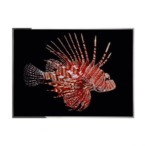 Pesce Scorpione Смешанная техника Visionnaire 