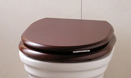 Крышка сиденье для унитаза Devon&Devon sun-id-377836 - Вид №1