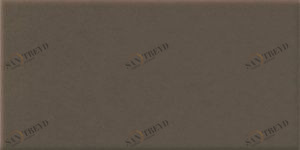 Simple brown R 30х14,8 Opoczno 899