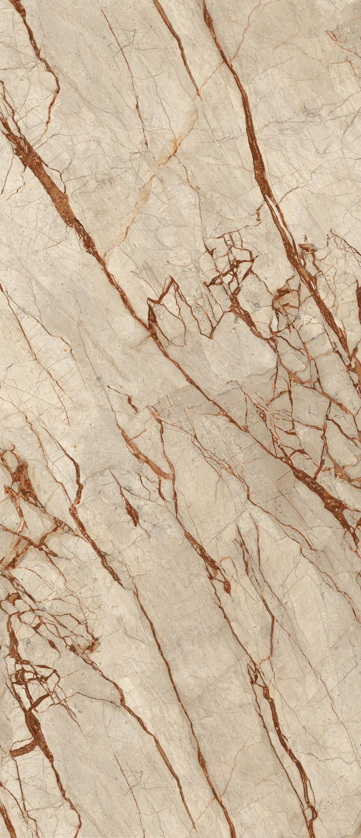 Пол / керамогранит с мраморным эффектом CERAMICA FONDOVALLE Infinito 2.0 ARCH-00001126 - Вид №3