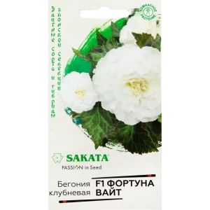 Бегония «Фортуна Вайт» F1, 4 шт. 82097836 STLM-2179412