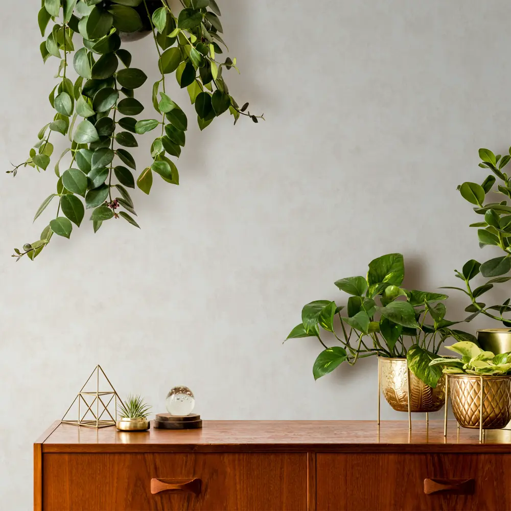 INSPIRE Plaster: флизелиновые обои с эффектом штукатурки в бежевом тоне 83617704 STLM-0820421 - Вид №2