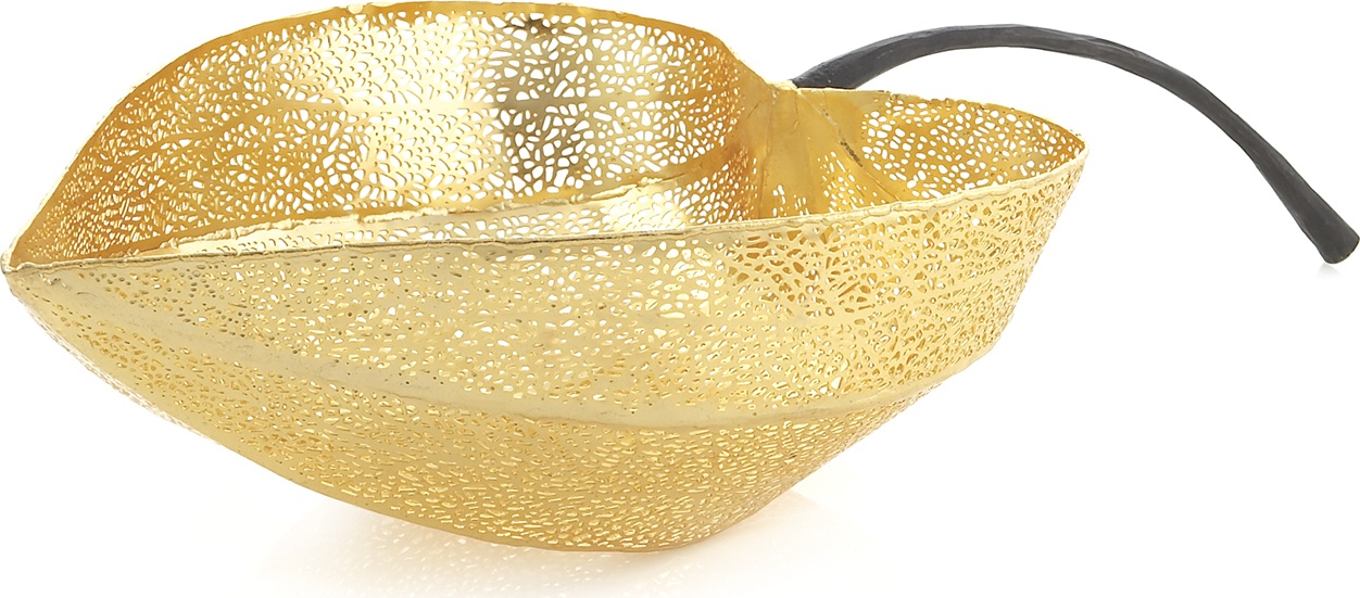10541978 Michael Aram Чаша-лист Michael Aram "Физалис" 46x23см (золотистая) Сталь нержавеющая 