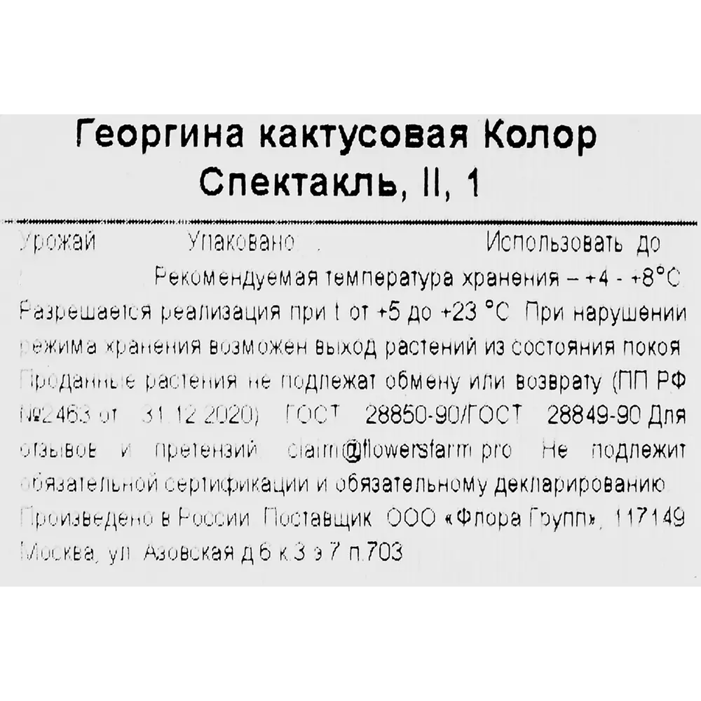 Георгина кактусовая Колор Спектакль h30 см 86735796 STLM-2146284 Santreyd  - Вид №2