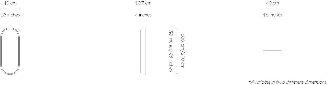 MORADA Овальное зеркало из металла в настенной раме  Pillola mir  - Вид №2
