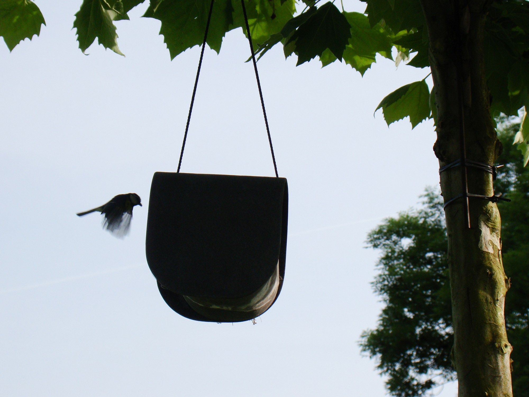 Бетонная кормушка для птиц SWISSPEARL дизайн ARCH-00117533 - Вид №4