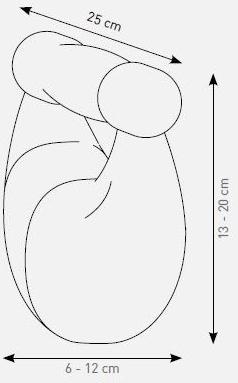 WaterRower Фитнес-оборудование  13.206  - Вид №6