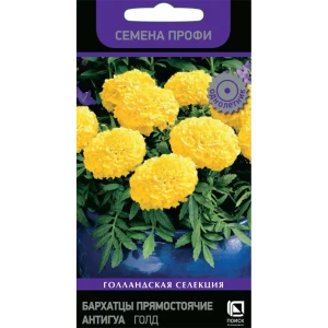 Бархатцы Антигуа Голд от ПОИСК - солнечные цветы для вашего сада 83577546