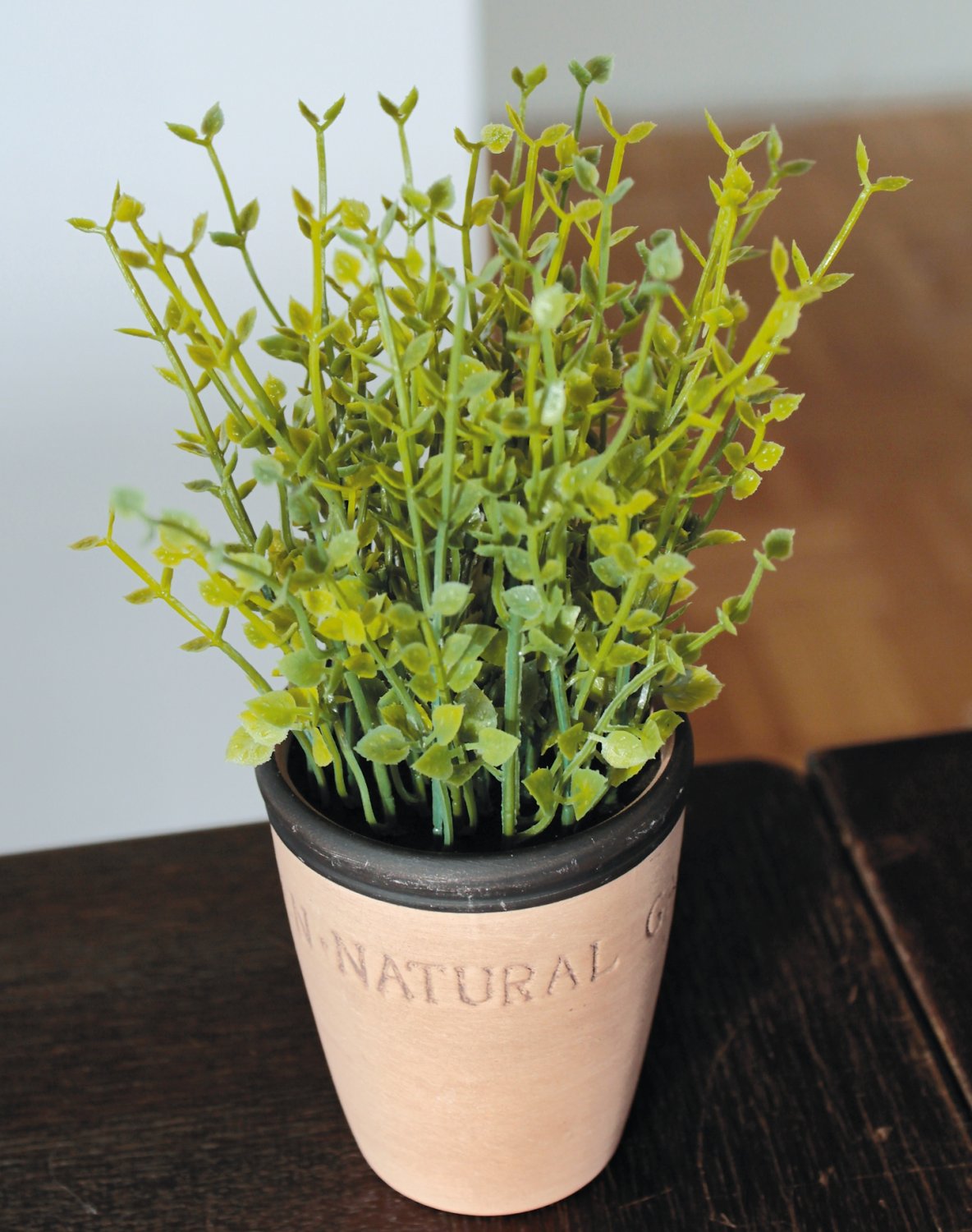 6122 883 a2 Искусственный тимьян в глиняном горшочке, синтетический материал, 20 см, зеленый H-andreas 