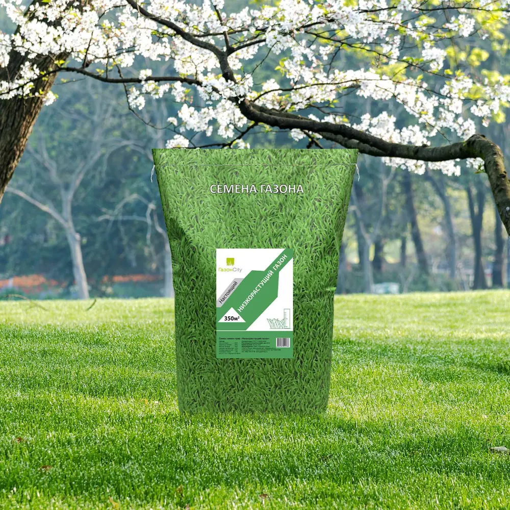 Семена газона Настоящий Низкорастущий 10 кг ГАЗОНCITY STLM-2185897 - Вид №1