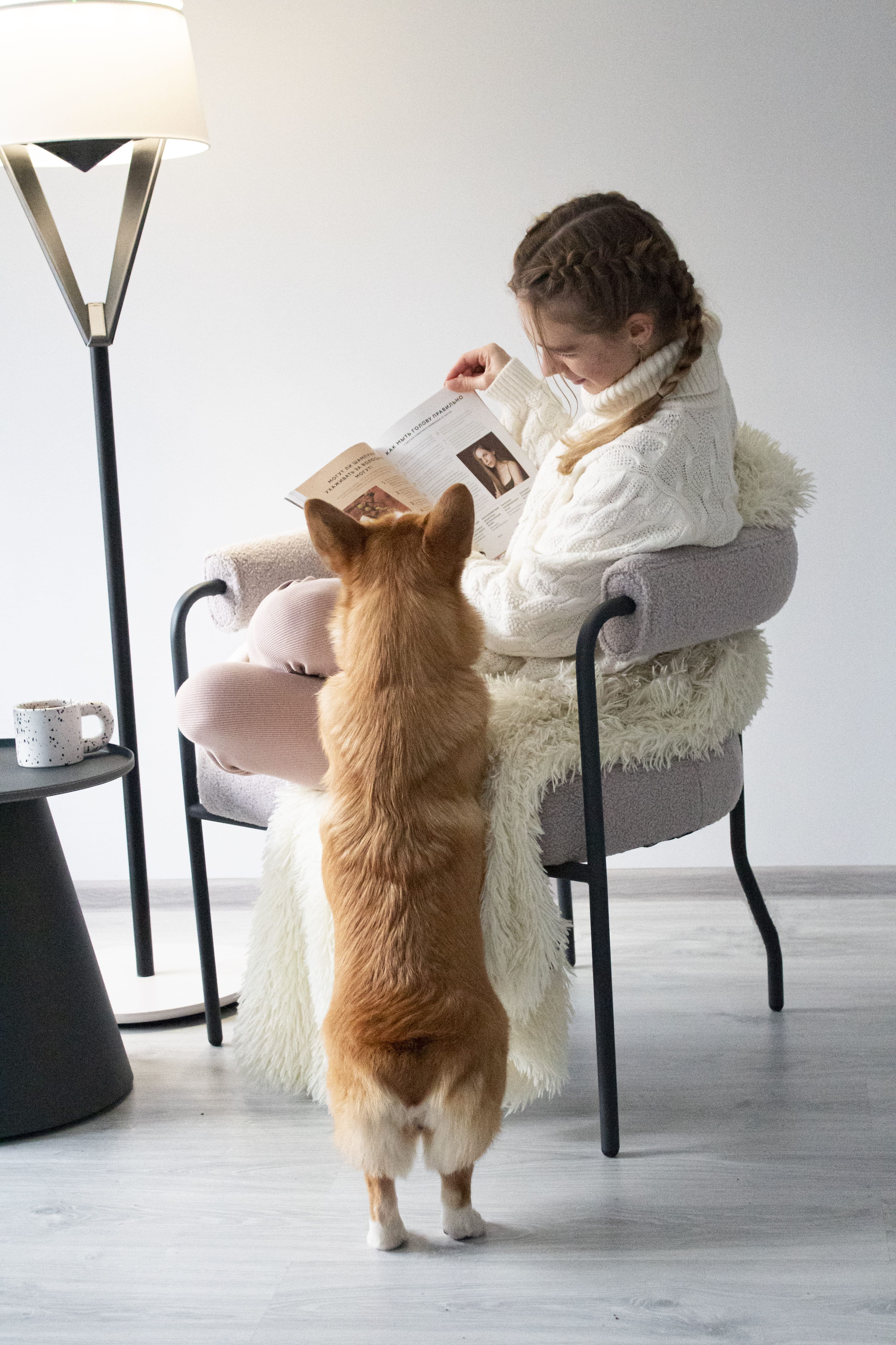 Кресло SHT-AMS120 Santreyd  - Вид №6