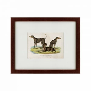 Литография на тонированной бумаге 42х52 см Three African bloodhounds, 1830 КАРТИНЫ В КВАРТИРУ  135644 Бежевый;белый;черный;разноцветный