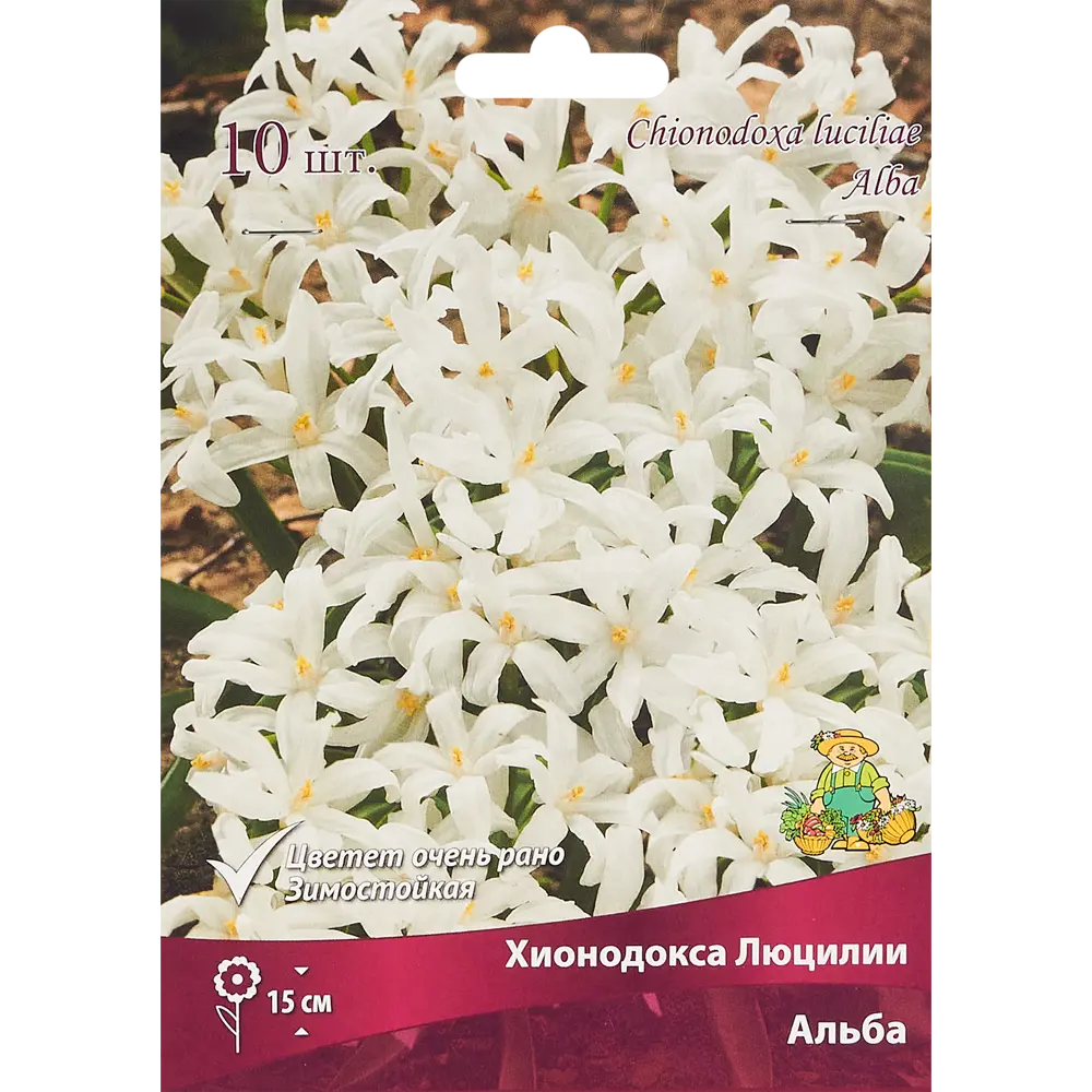 Santreyd Хионодокса Люцилии Альба - белые весенние звезды 88294941 STLM-1431536