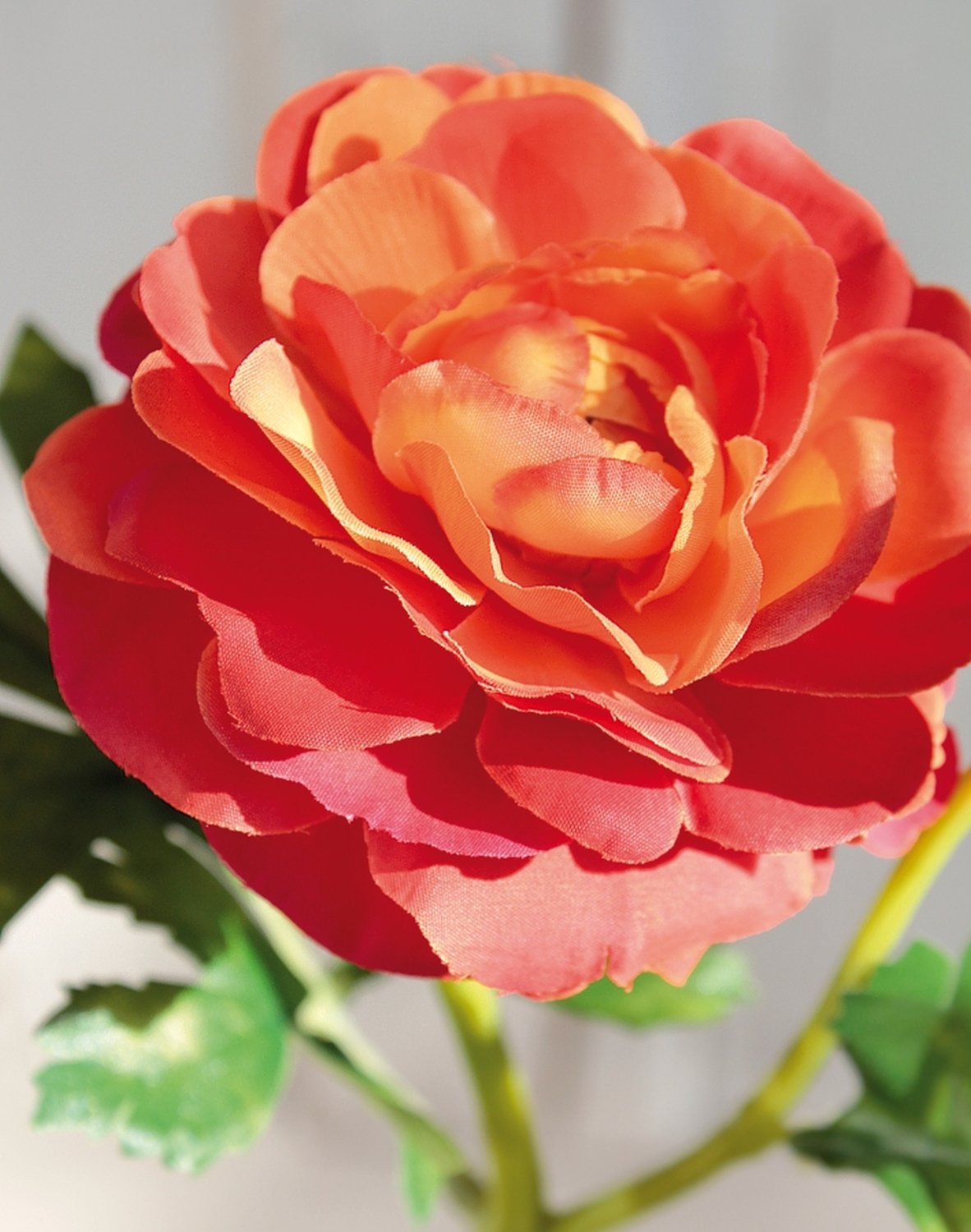 2450 334 a3 Лютик шелковый, 1 цветок, 1 бутон, 32 см, оранжевый H-andreas  - Вид №3