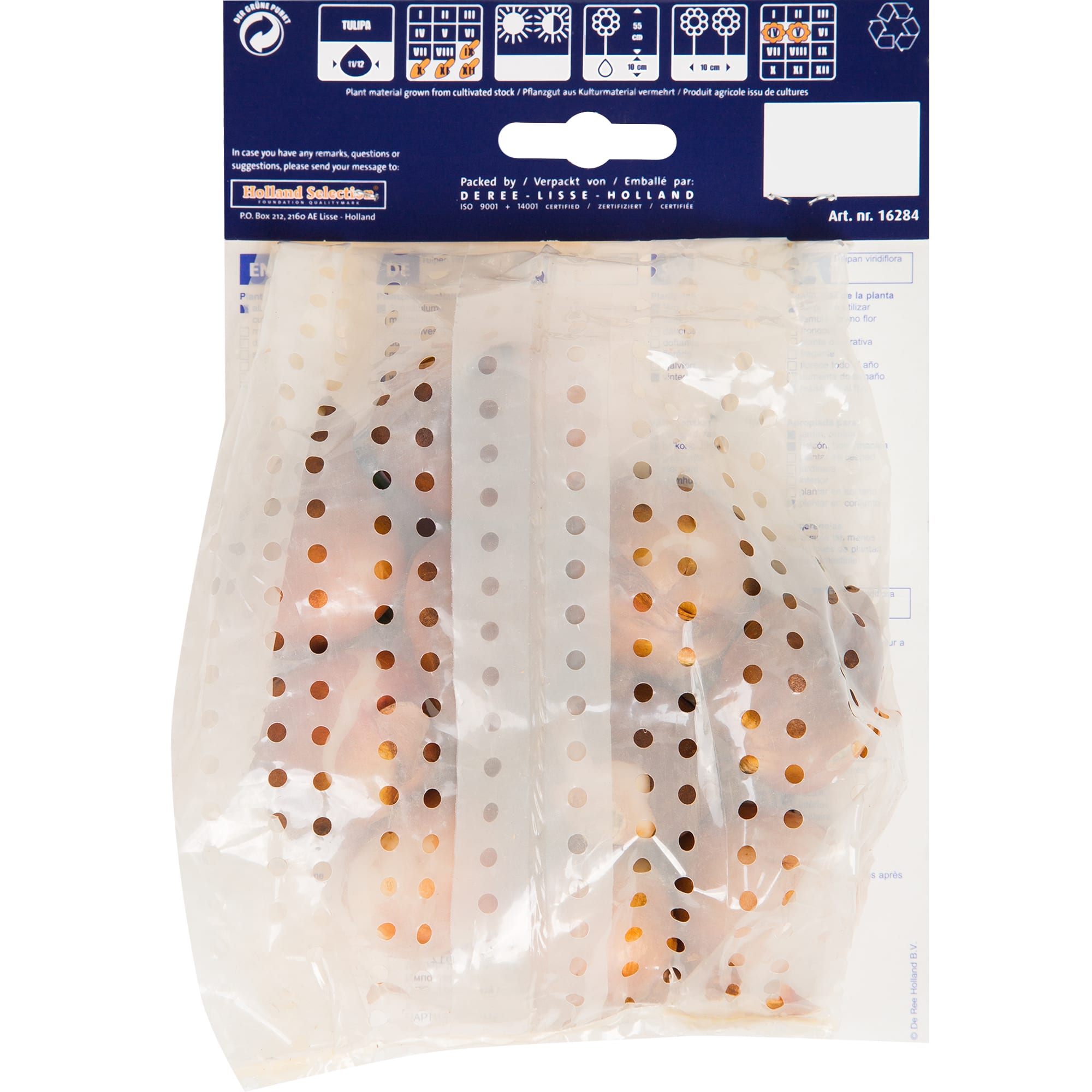 82666000 Тюльпан «Гроенланд» размер луковицы 11/12, 10 шт Santreyd  - Вид №1