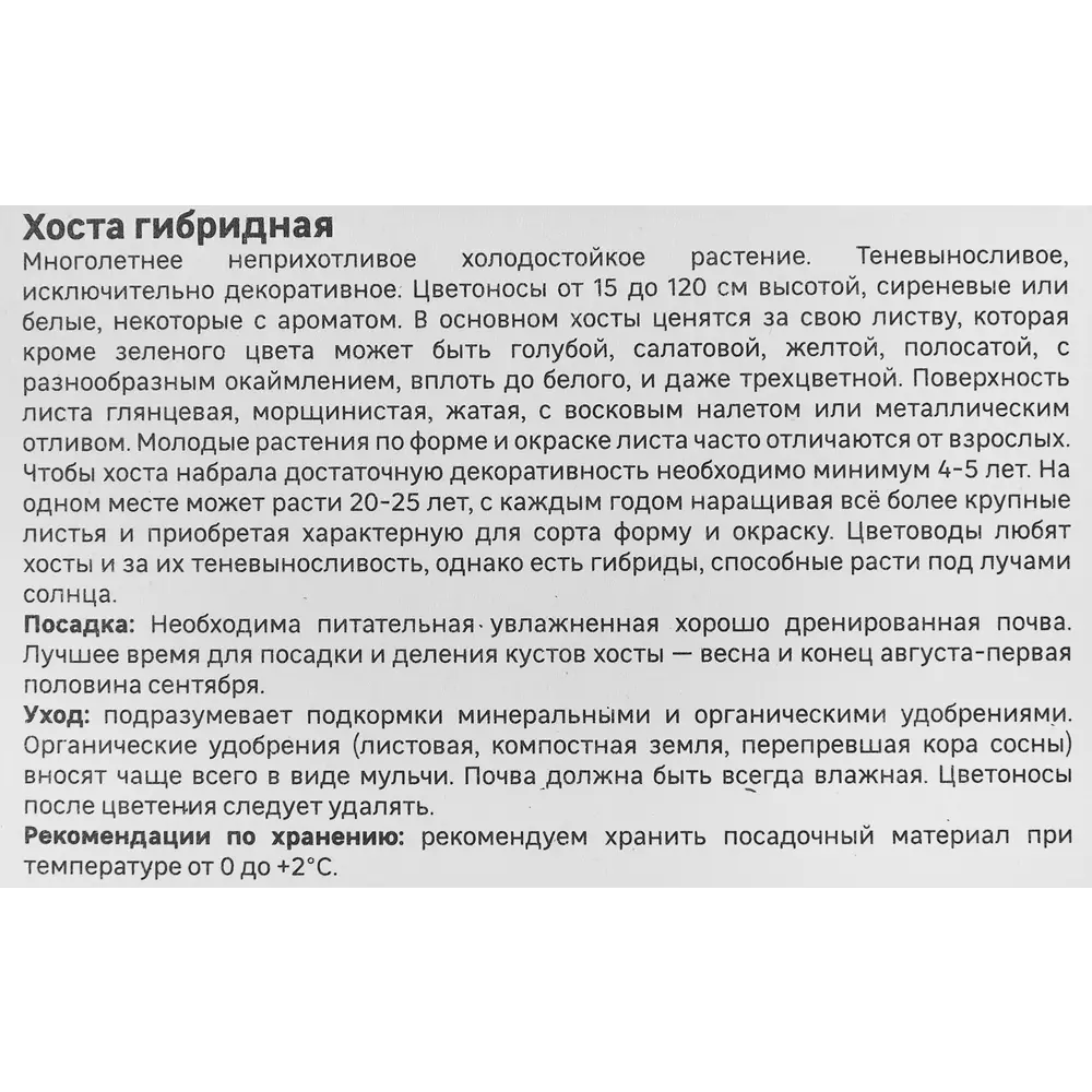 Хоста гибридная Вайт Фезер 86408584 STLM-2123667 Santreyd  - Вид №3