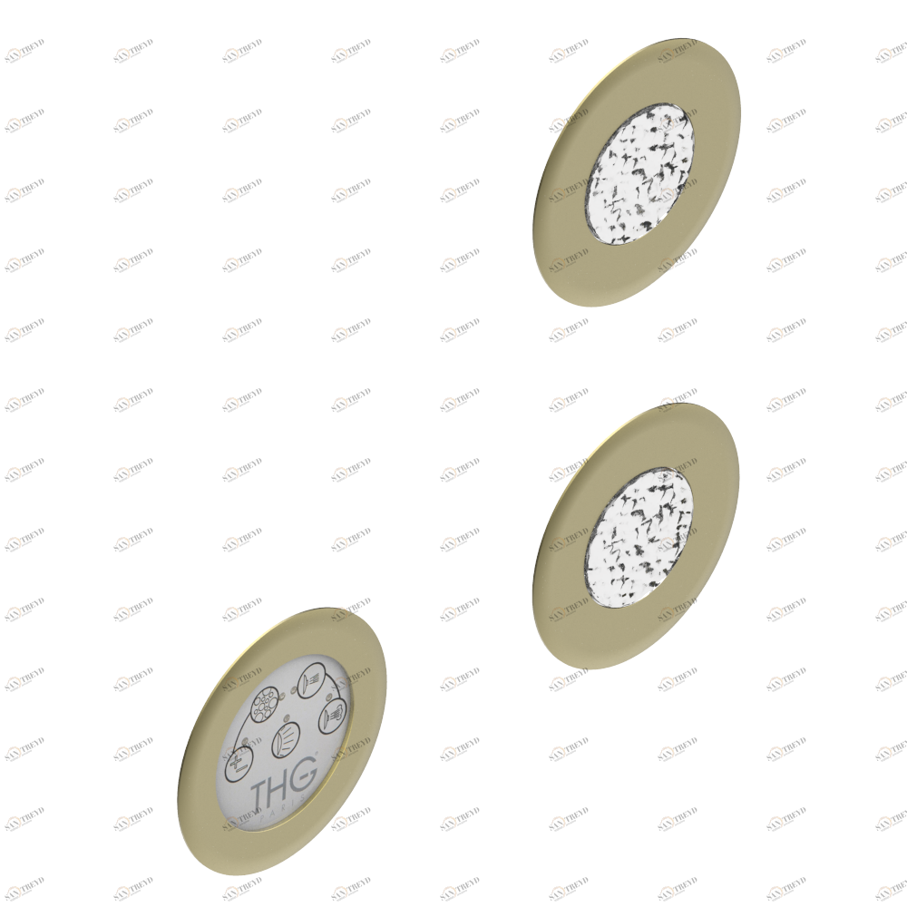 B12-K102AB Система хромотерапии с 2 светодиодами для гидромассажной ванны Thg-paris Системы гидромассажа Покрытие PVD матовая латунь B12-K102AB CAT.F