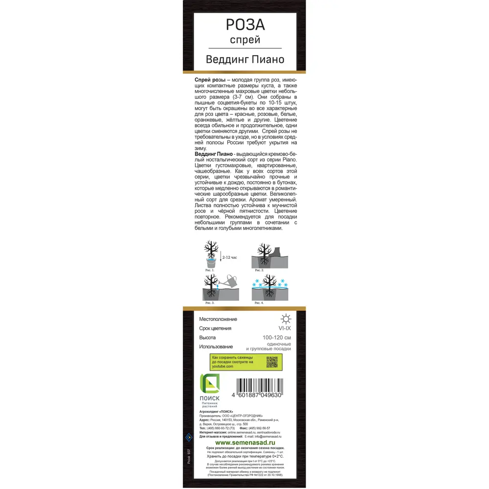 Роза Тантау спрей миниатюрная h70 см 89408222 STLM-2032769 Santreyd  - Вид №2
