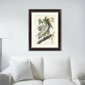 Литография на тонированной бумаге 60х47 см "Американский бурый пеликан, 1830г" КАРТИНЫ В КВАРТИРУ  093843 Бежевый;белый;коричневый;разноцветный