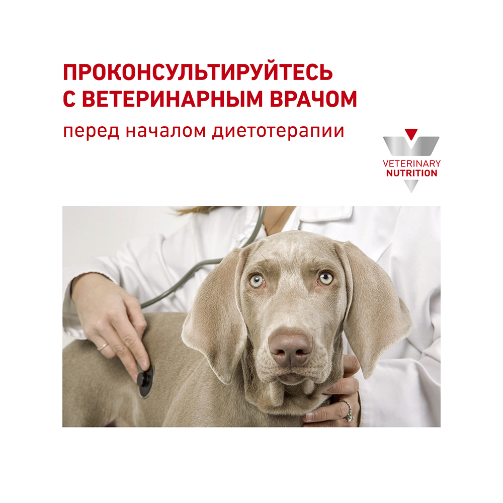ПР0053519 Корм для собак Vet Diet Gastro Intestinal GI25 при нарушениях пищеварения сух. 15кг ROYAL CANIN  - Вид №8