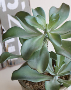 6046 883 a3 Искусственный суккулент, горшок, 25 см, зеленый H-andreas