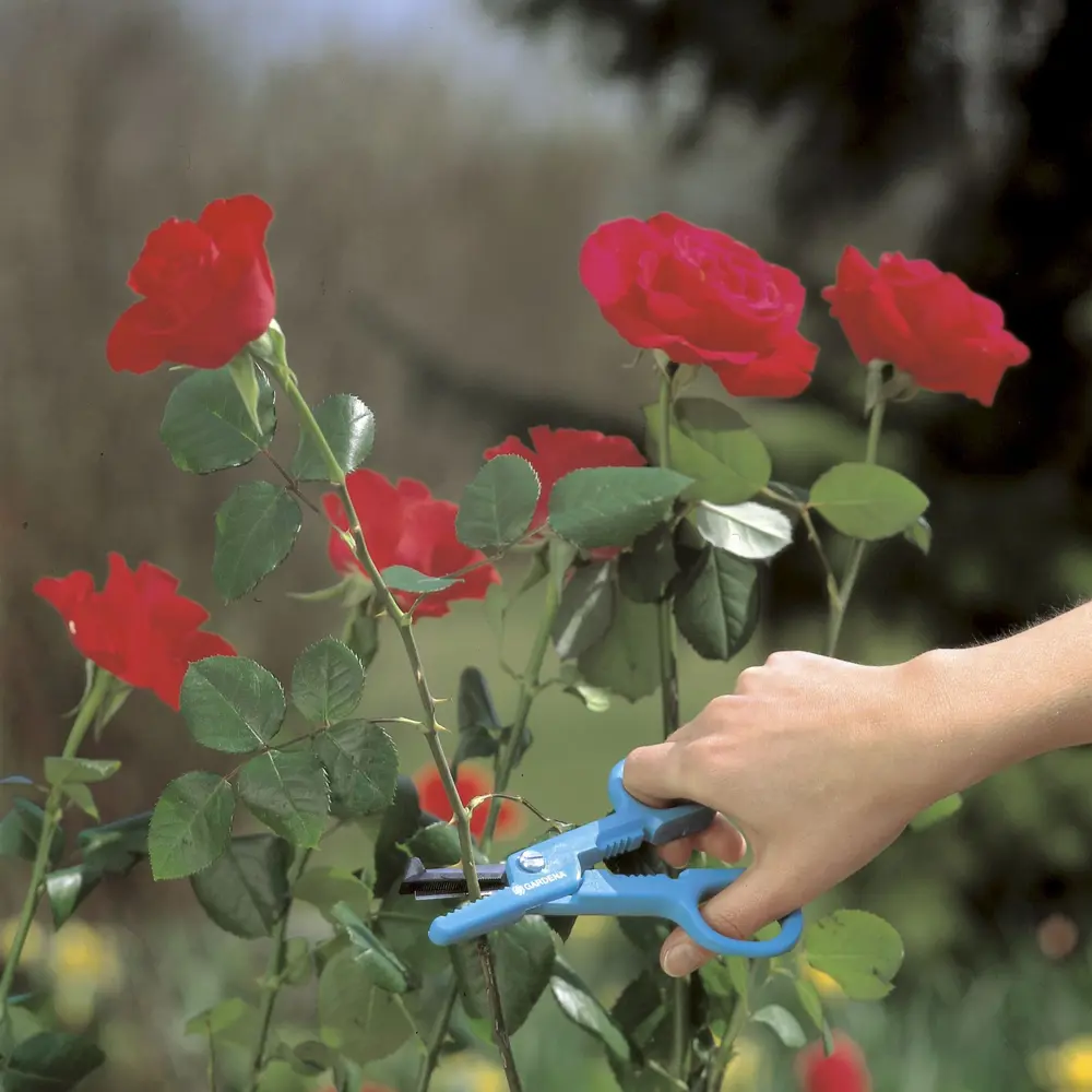 Ножницы садовые Gardena для роз 10980276 STLM-2066886  - Вид №3
