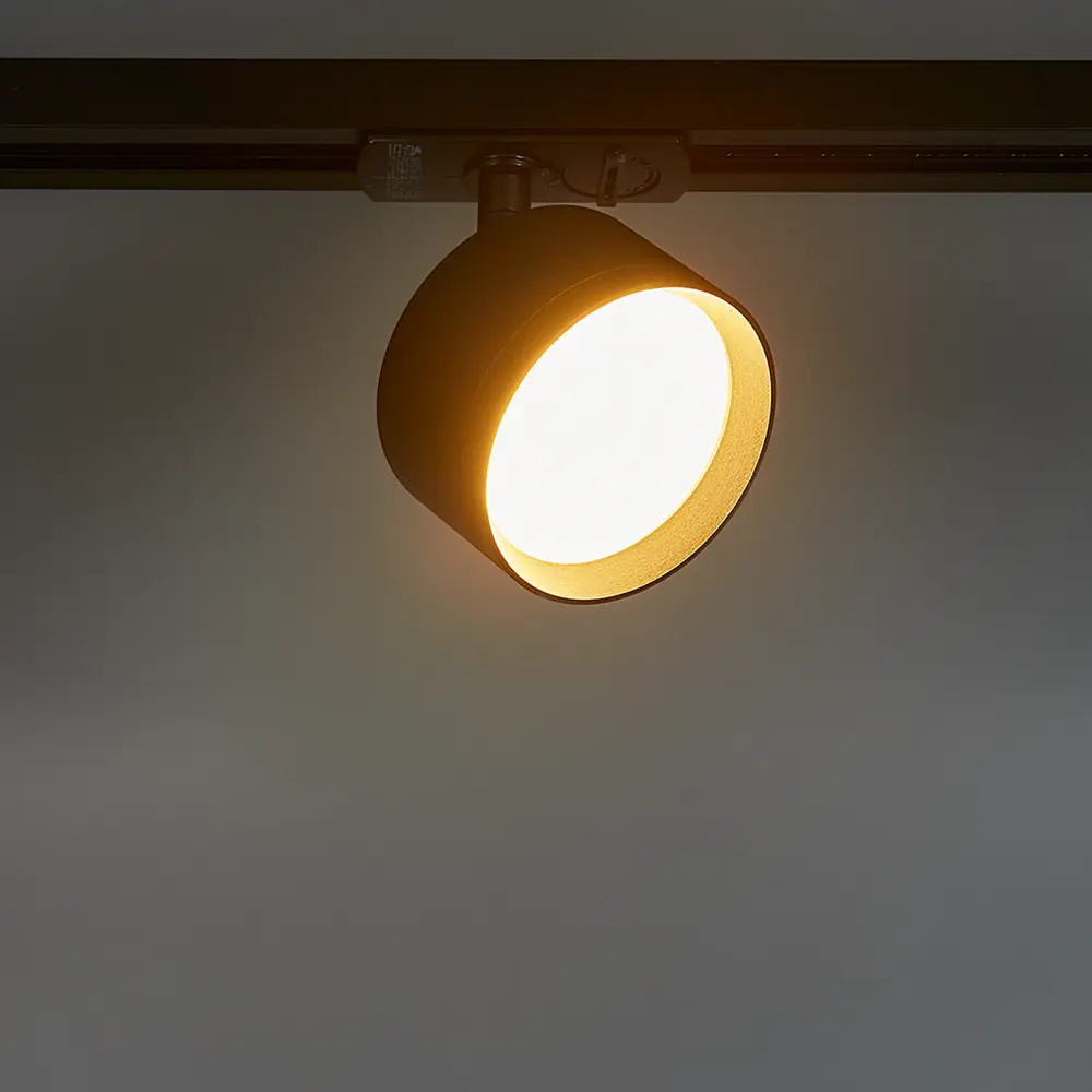 Arte Lamp Intercrus — трековый спот для акцентного освещения 89406657 STLM-1576702 - Вид №1