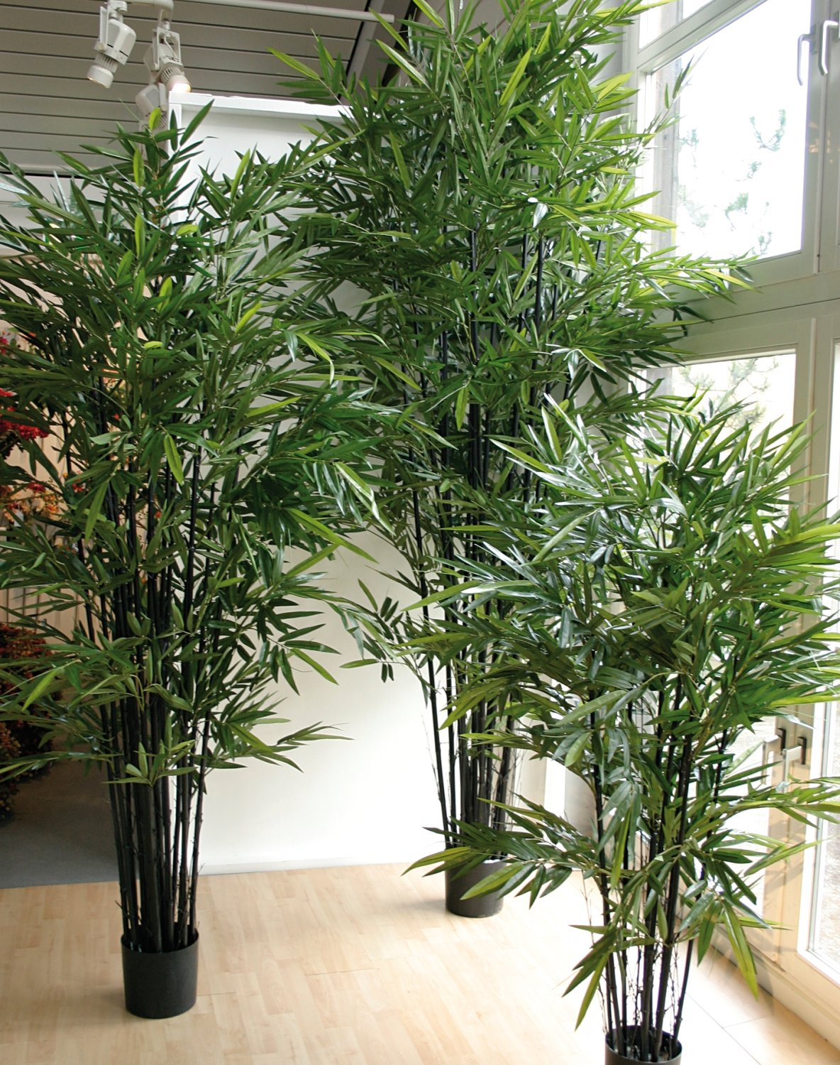 5695 883 a3 Бамбук искусственный, в горшке, 280 см, зеленый H-andreas 