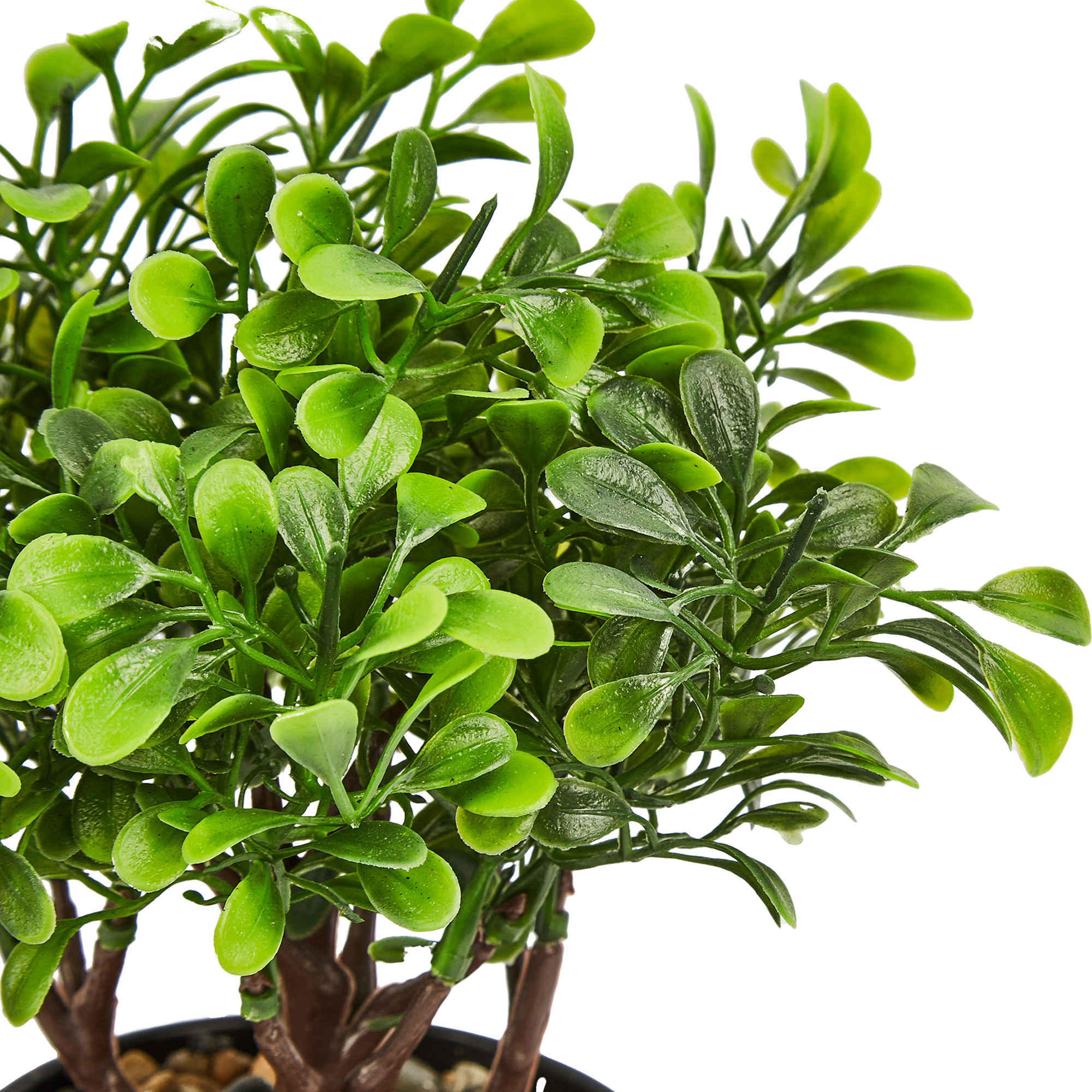 85852577 Искусственное растение крассула h22 см ПВХ разноцветный STLM-0065639 Santreyd  - Вид №2