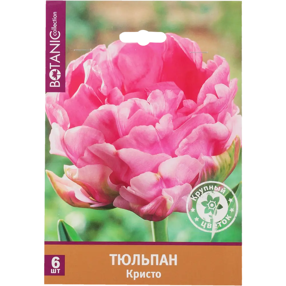 Тюльпан «Кристо» размер луковицы 11/12, 6 шт. 82666011 STLM-2085989 BOTANIC COLLECTION 