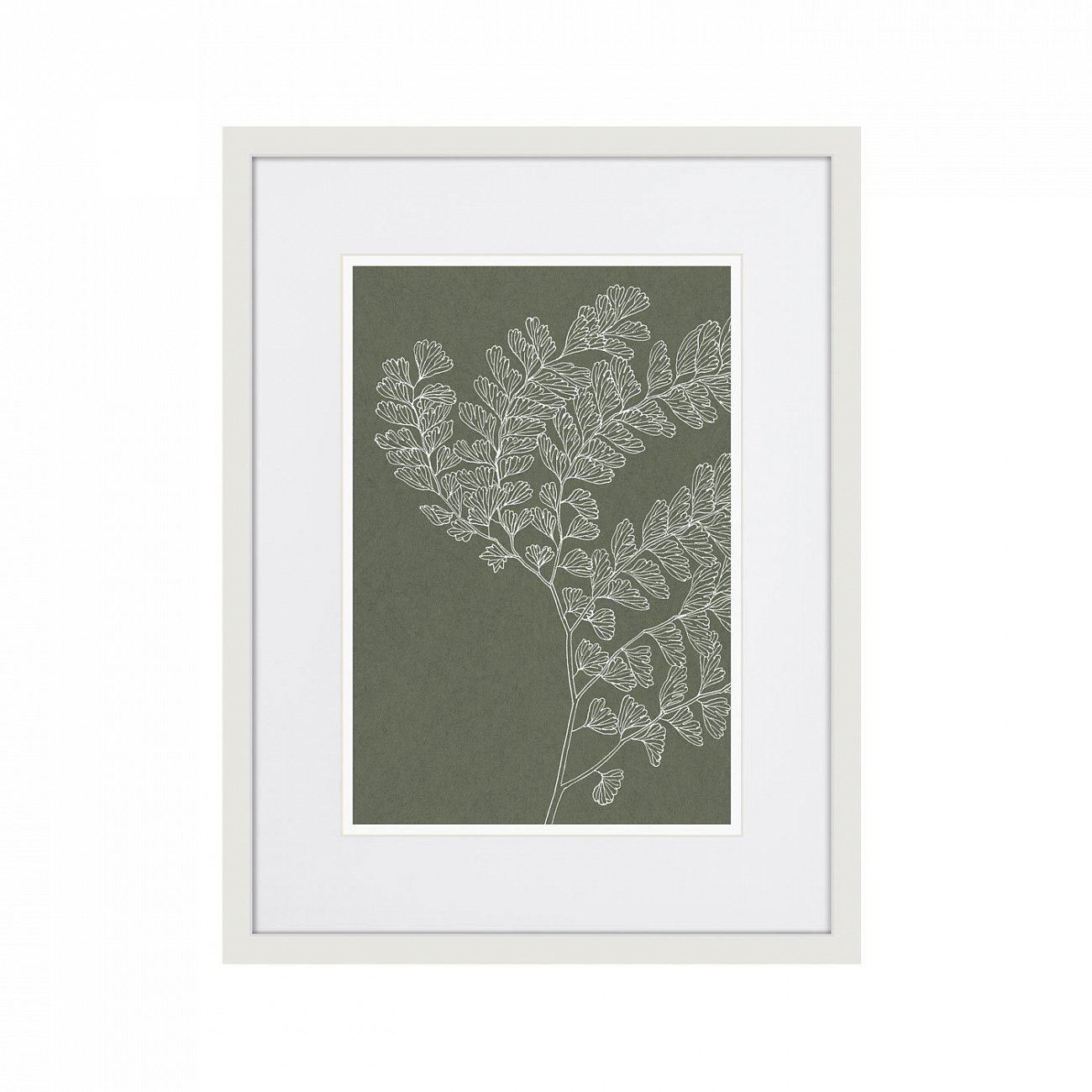 Картина 42х32 см The Fern Collection №15 КАРТИНЫ В КВАРТИРУ  00-3894681 Серый  - Вид №1