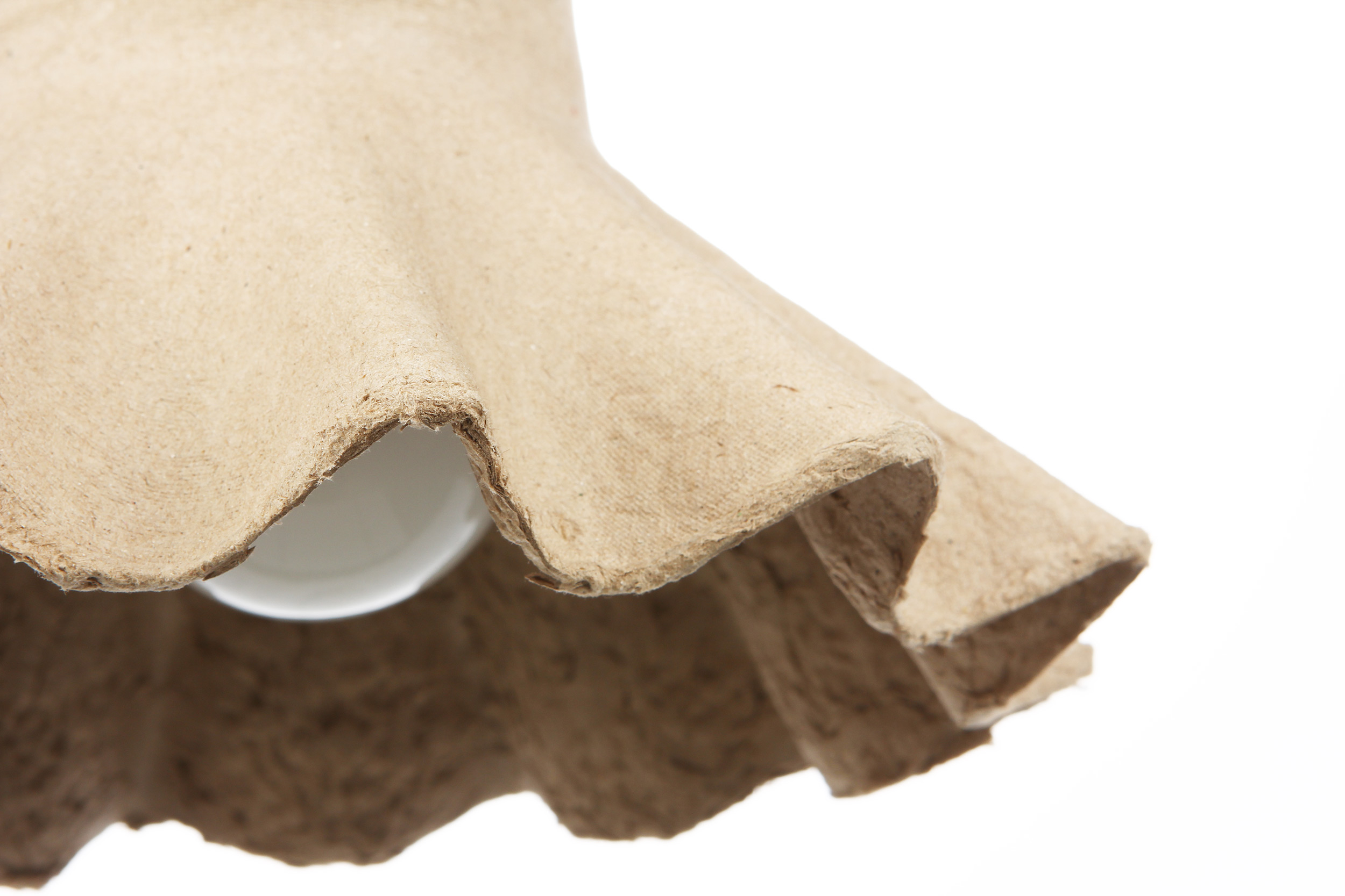 8008215079073 Подвесной светильник 2 ELECTRORETRO Egg of Columbus  - Вид №1