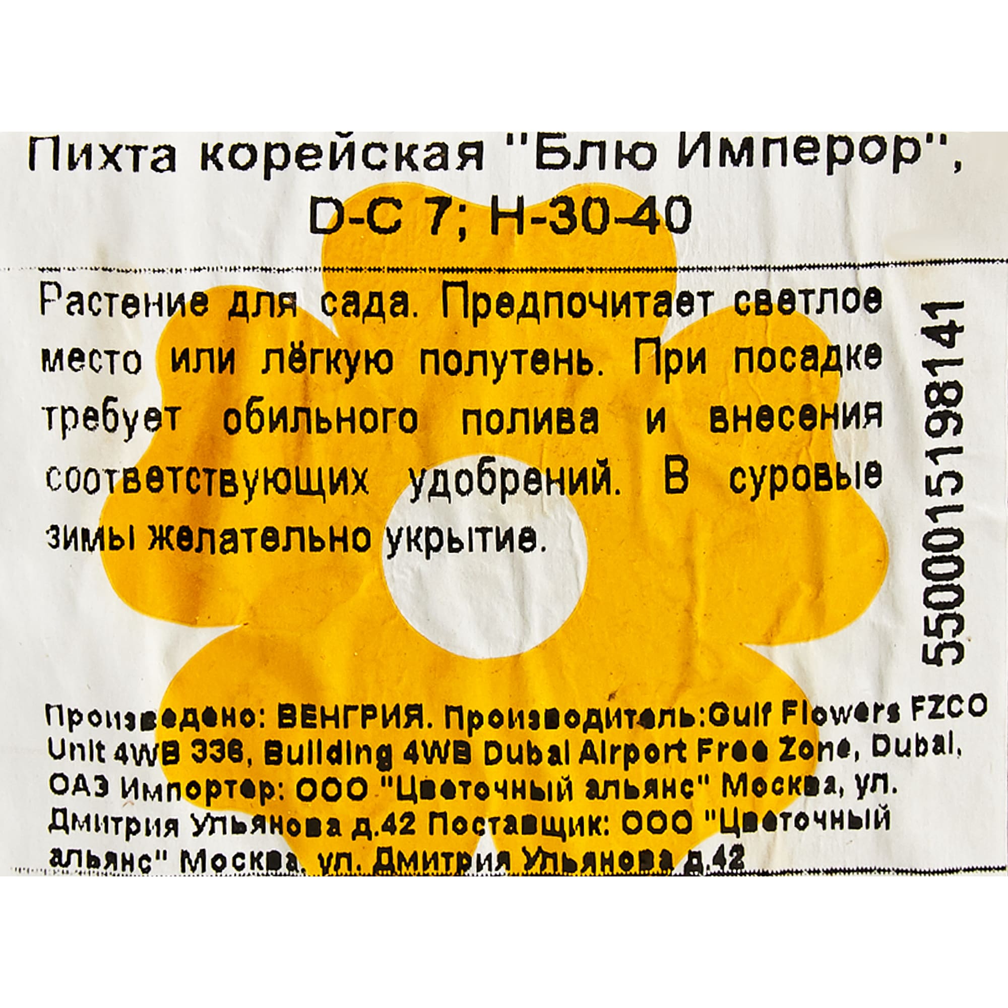 82601655 Пихта корейская «Блю Имперор» 21x30 см Santreyd  - Вид №1