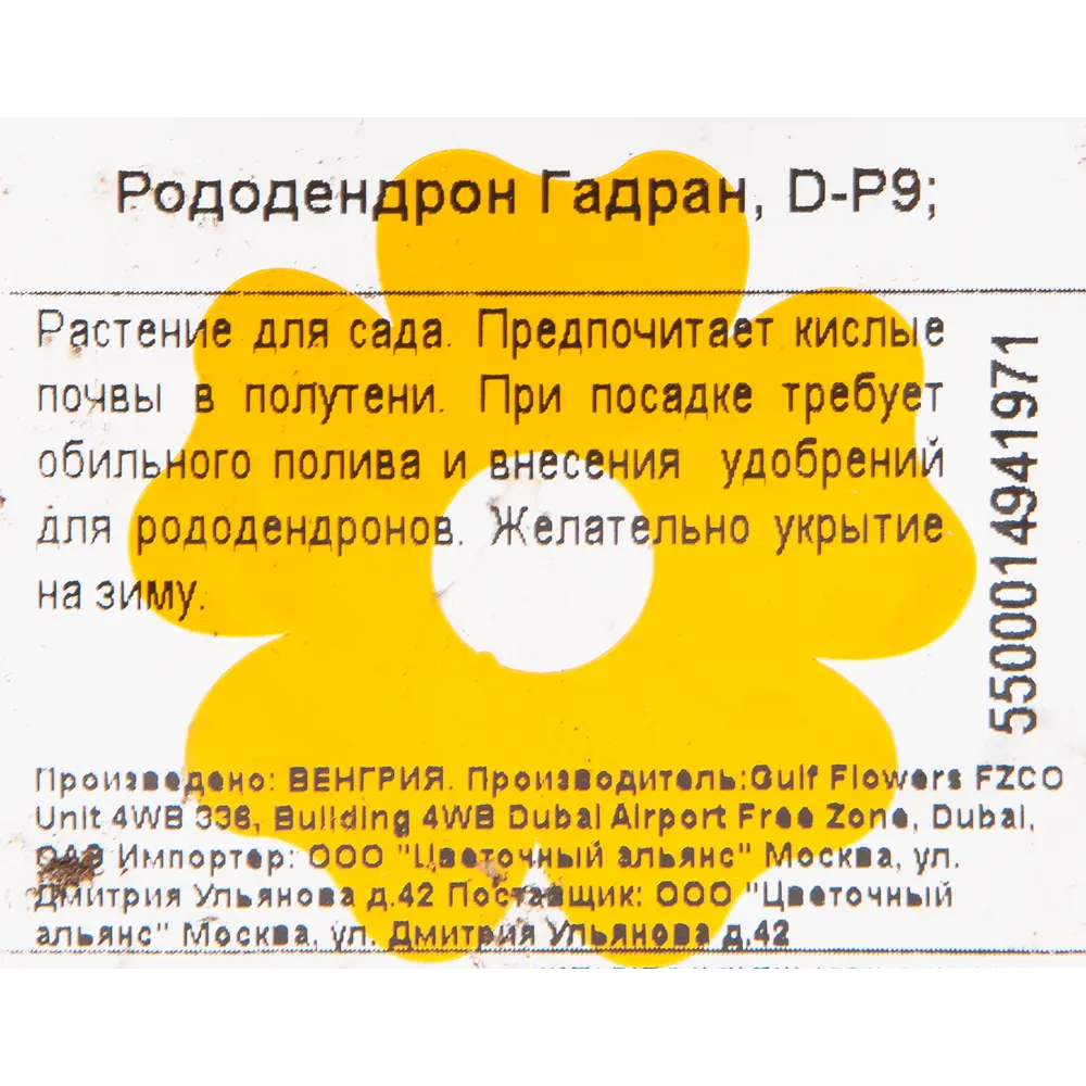 Рододендрон гибридный «Гадран» 9x20 см 82601870 STLM-2084174 Santreyd  - Вид №1