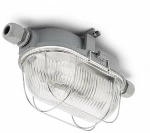 THPG Уличный потолочный светильник  100506