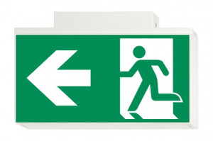 DST-777 Lisu ceiling-mounted Daisalux Светильники аварийные Белый