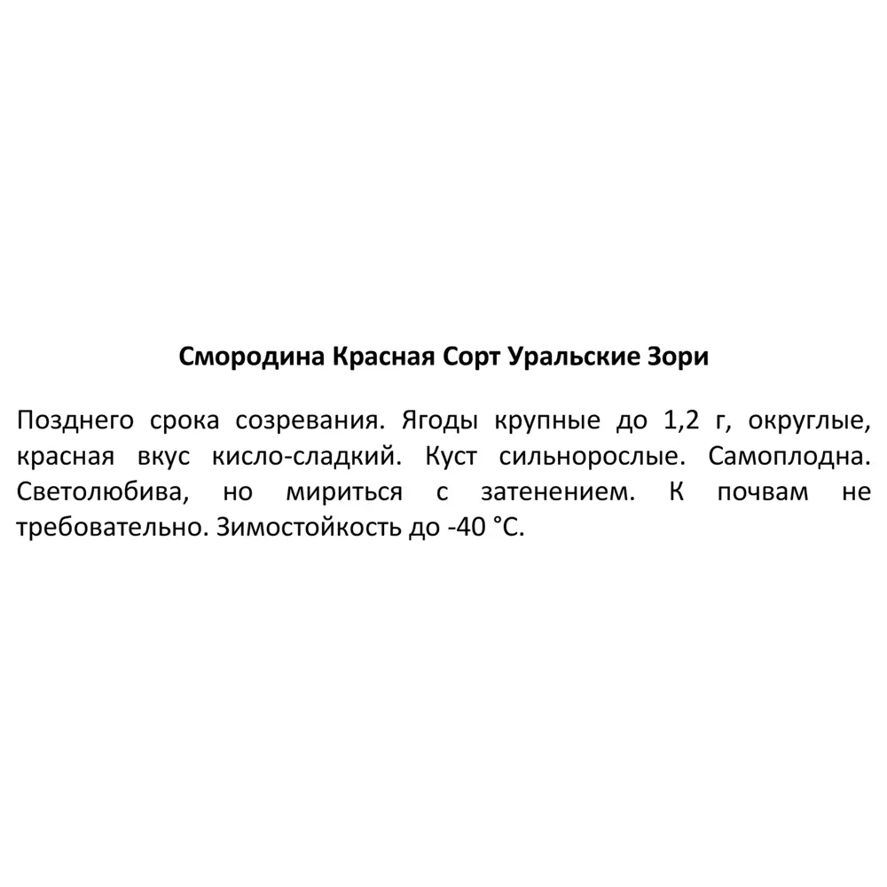 Смородина красная Уральские зори ø16 h40 см 87691045 STLM-2192914 Santreyd  - Вид №2