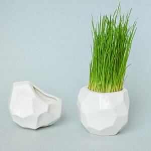 Набор для выращивания Eco кашпо магнит "Метеорит"