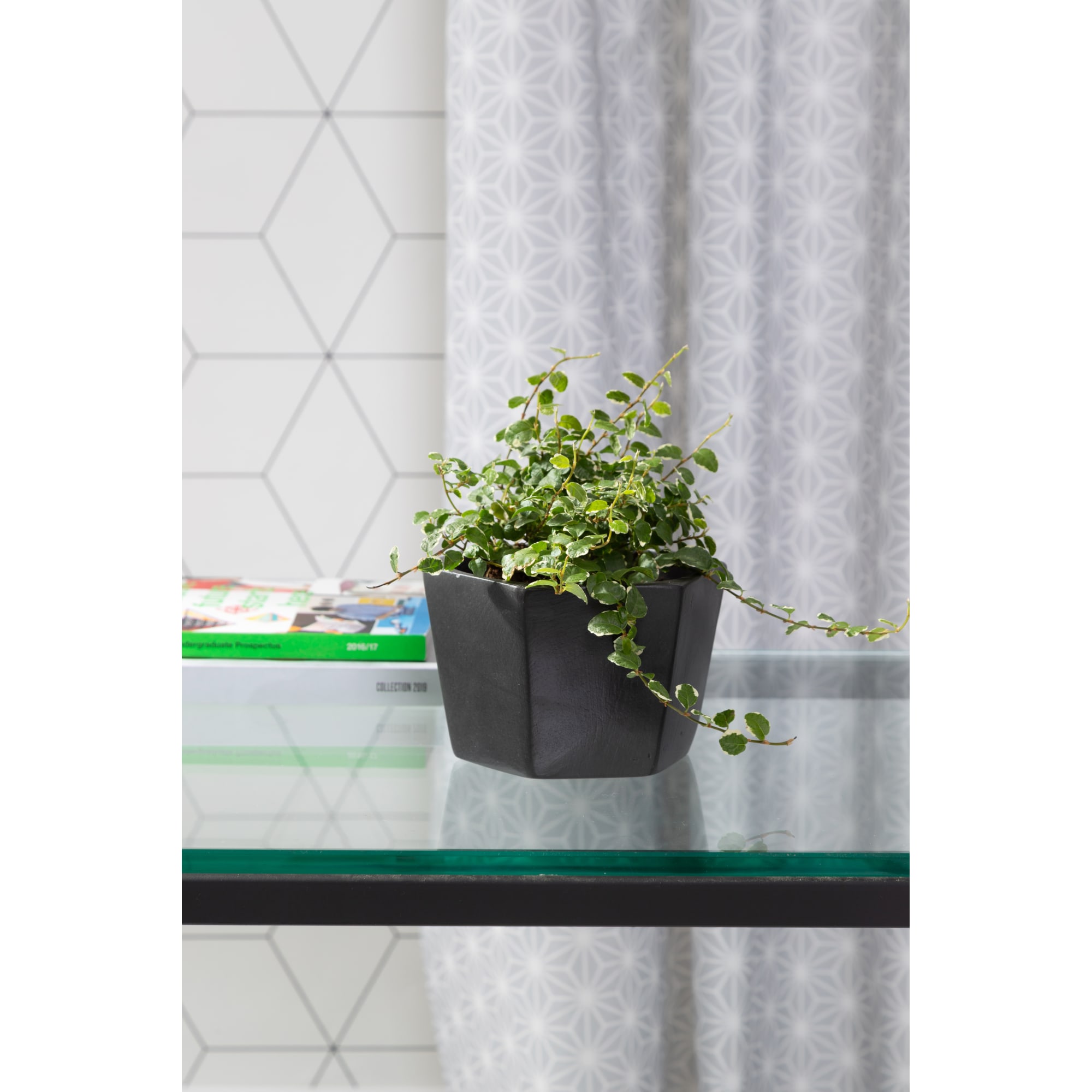 18876060 Кашпо ø14 h9 см v0.75 л керамика чёрный Эджес Santreyd  - Вид №5