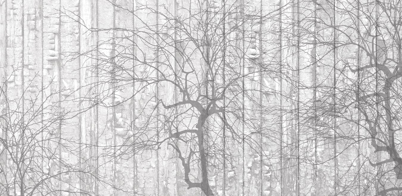 Обои Creativespace Prêt-à-porter ARCH-00132387 - Вид №1