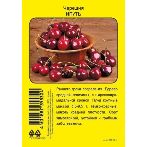 Черешня Ипуть пакет h90 см 86543935 STLM-2208848