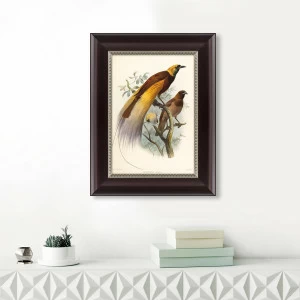 Картина: Большая райская птица, 1880г КАРТИНЫ В КВАРТИРУ  093834 Разноцветный