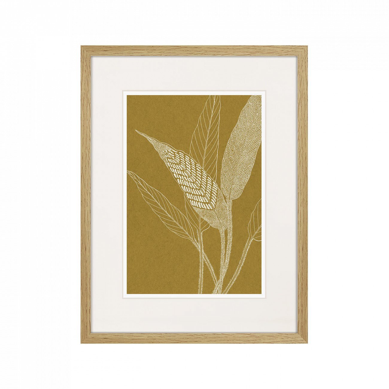 Картина 42х32 см The Fern Collection №40 КАРТИНЫ В КВАРТИРУ  00-3894680 Коричневый  - Вид №1