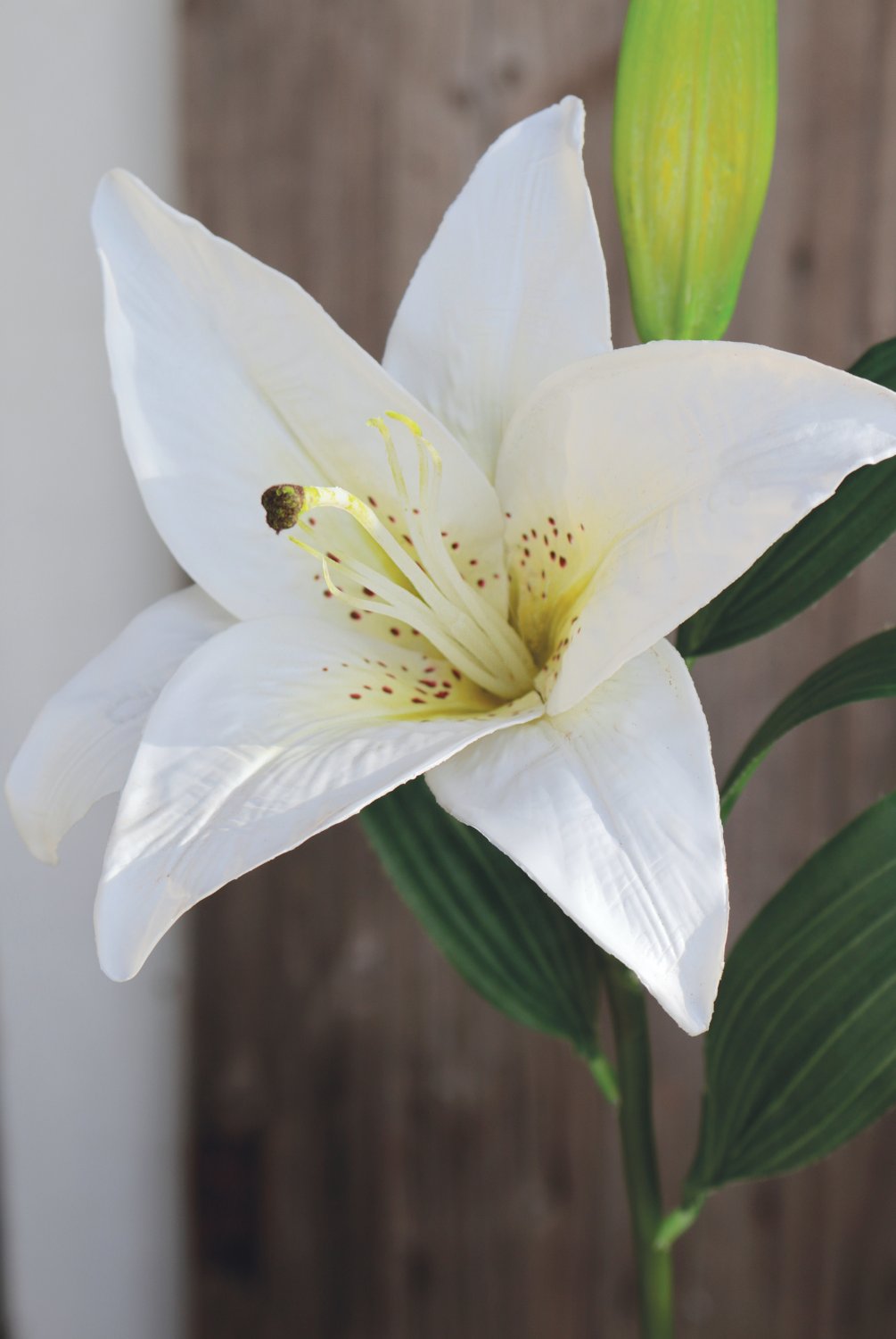 3211 708 a3 Искусственная лилия, 45 см, бело-зеленая H-andreas  - Вид №2