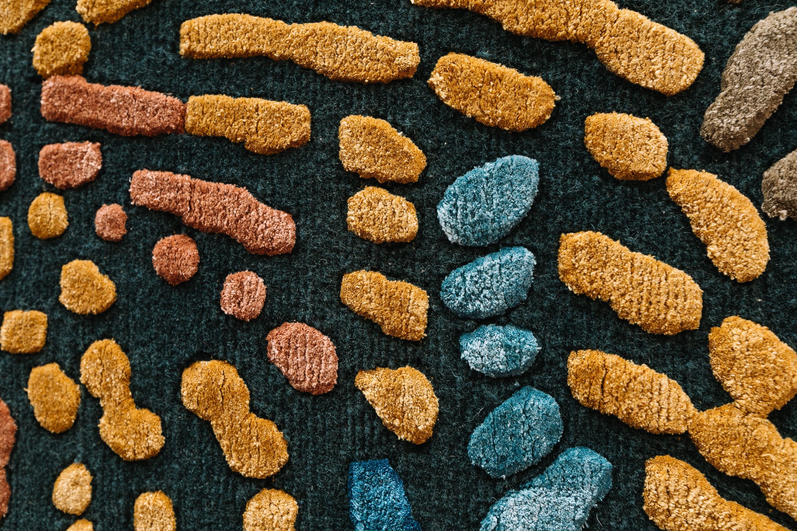 Ковер ручной работы из шерсти и шелка Tapis Rouge навсегда ARCH-00044144 - Вид №2