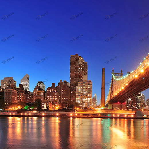 A1-065 Фотообои DIVINO Collection A 1.47х3 м A1065